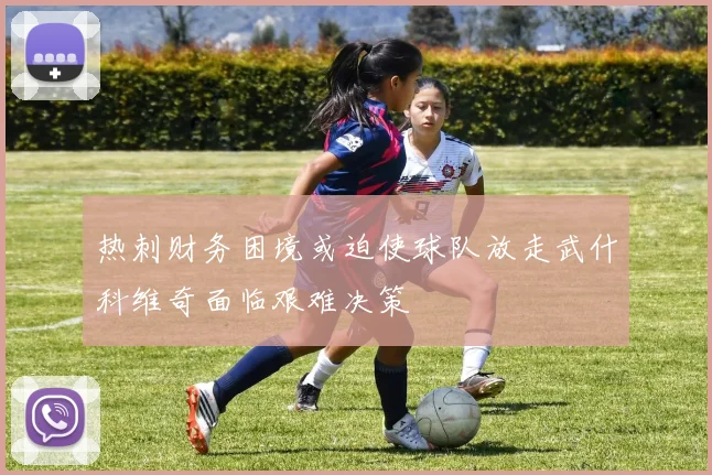 热刺财务困境或迫使球队放走武什科维奇面临艰难决策